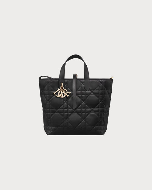 CHRISTIAN DIOR Medium Dior Toujours Vertical Tote Bag | Dior Tote Bag (Multicolor)