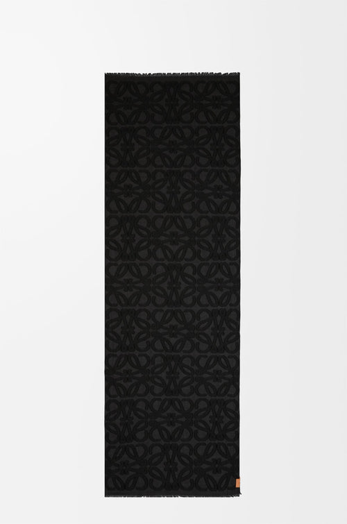 LOEWE Scarf in wool and silk | Loewe scarf (multicolor)