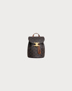 CELINE Backpack Celine Bonnie in Triomphe Canvas & Calfskin | Celine Backpack (Brown)