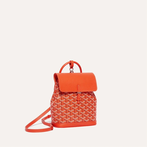 GOYARD Alpin Mini Backpack | 戈雅 背囊 (多色)