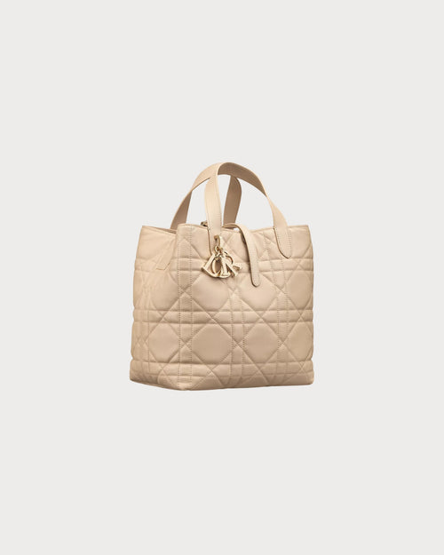 CHRISTIAN DIOR Medium Dior Toujours Vertical Tote Bag | 迪奥 手提袋 (多色)