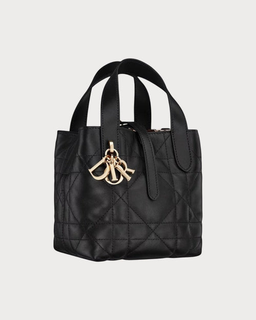 CHRISTIAN DIOR Dior Toujours Vertical Nano Tote Bag | 迪奥 迷你手提袋 (多色)