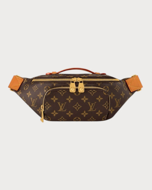 LOUIS VUITTON Men's M14019 Rush Bumbag | 路易威登 男仕手袋 (啡色)